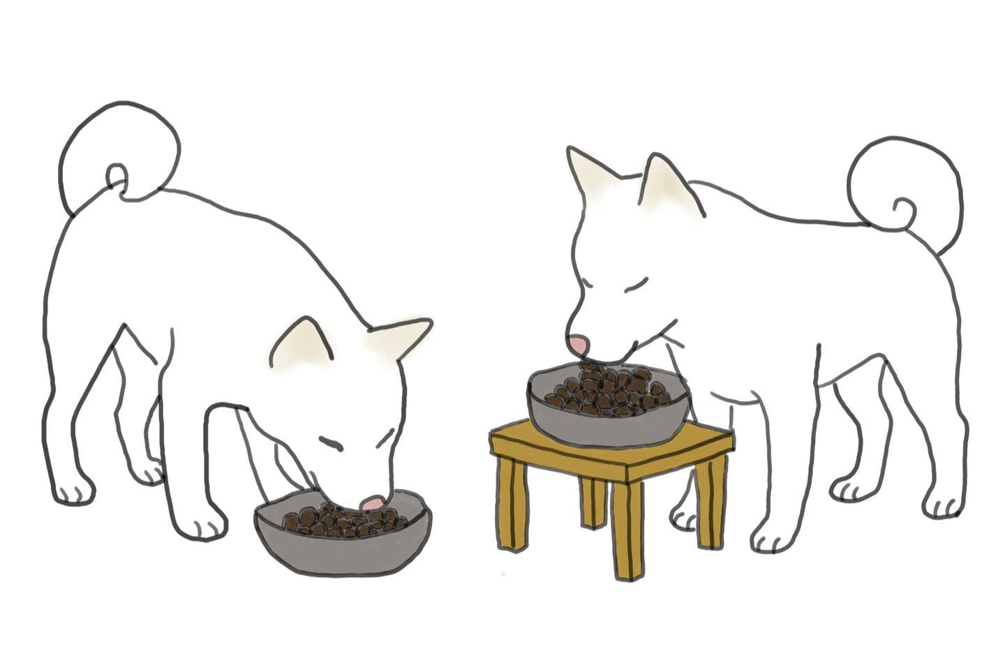 犬に「食事台」は必要? 実は体格が重要なヒント 犬に「食事台」は必要? 実は体格が重要なヒント