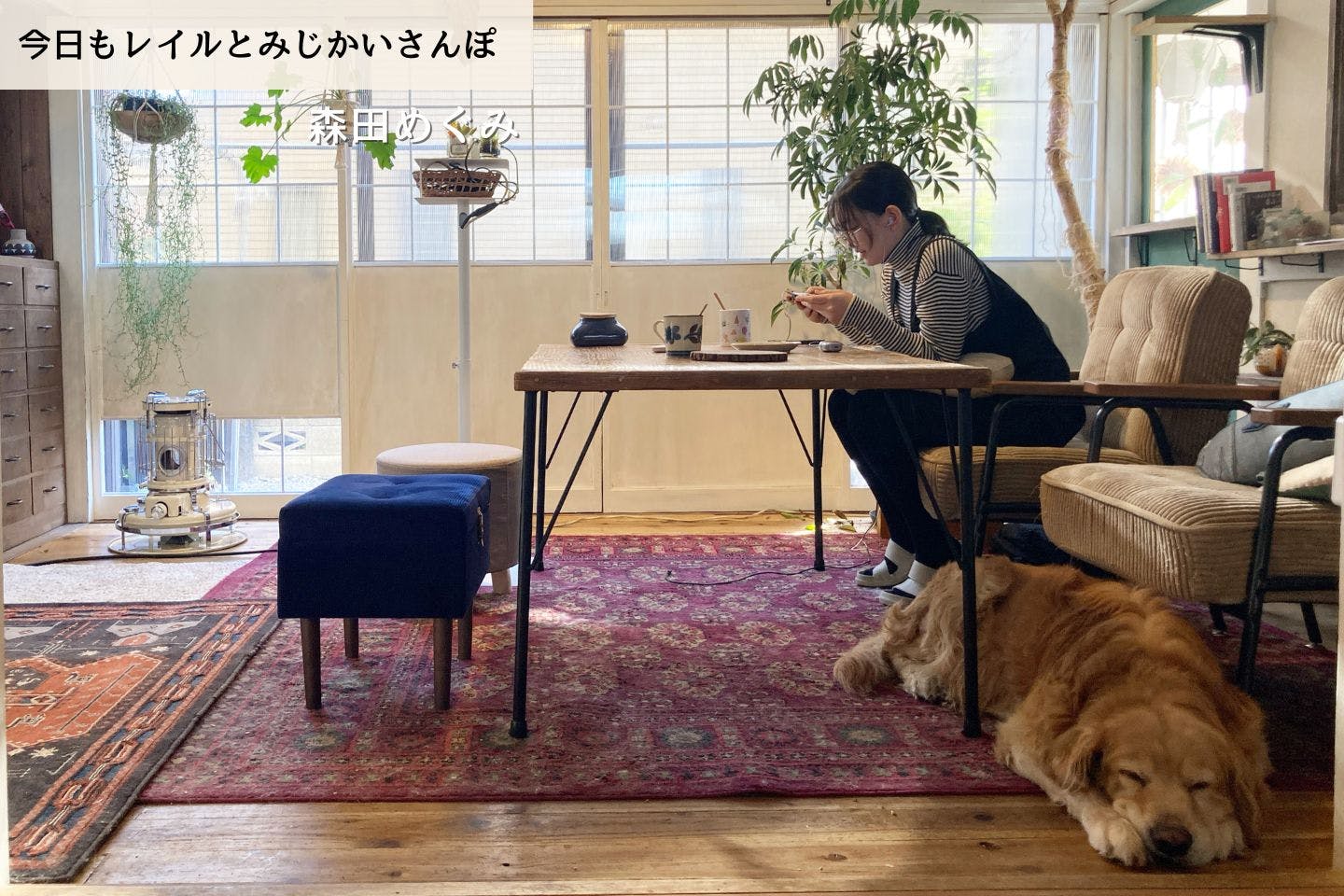 【連載】動物の大学病院という、知らなかった世界|森田めぐみ|今日もレイルとみじかいさんぽ