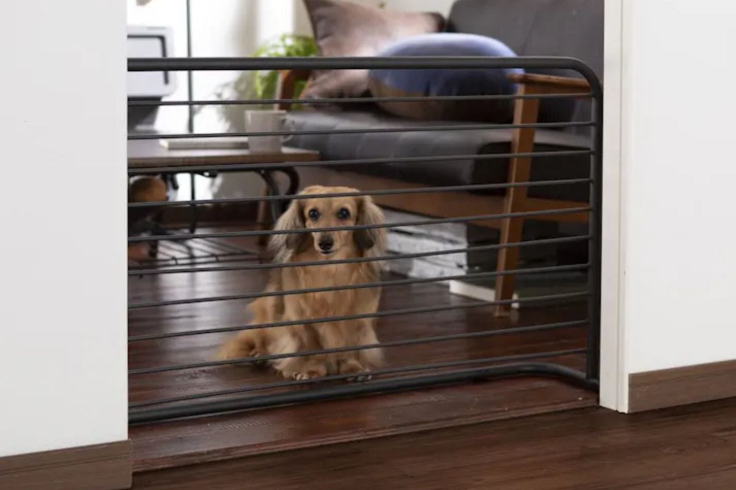 Pets Casa ペットフェンス ブラック カインズ Pets Casa ペットフェンス ブラック カインズ