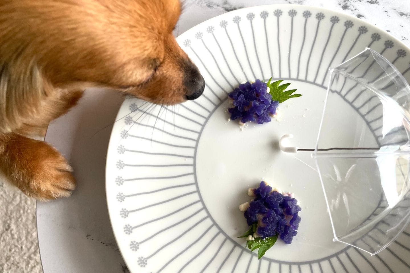 愛犬用菱餅(ひしもち)風おやつ 【材料】着色料不使用! 野菜の自然な色から作る「愛犬用あじさい風おやつ」