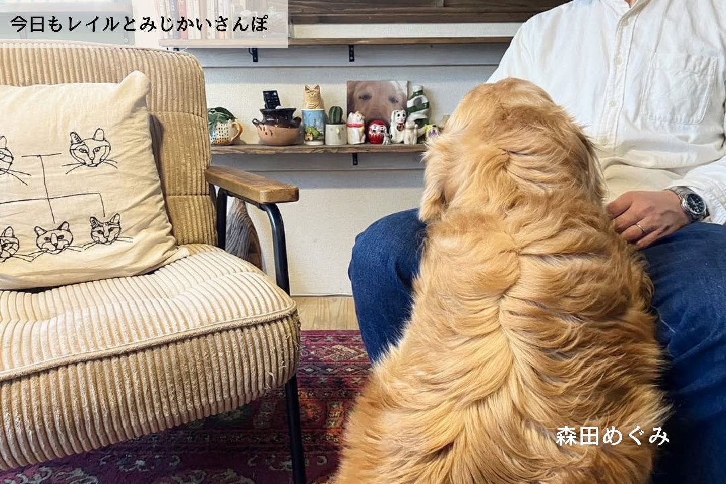 【連載】急にレイルの具合が悪くなった日|森田めぐみ|今日もレイルとみじかいさんぽ