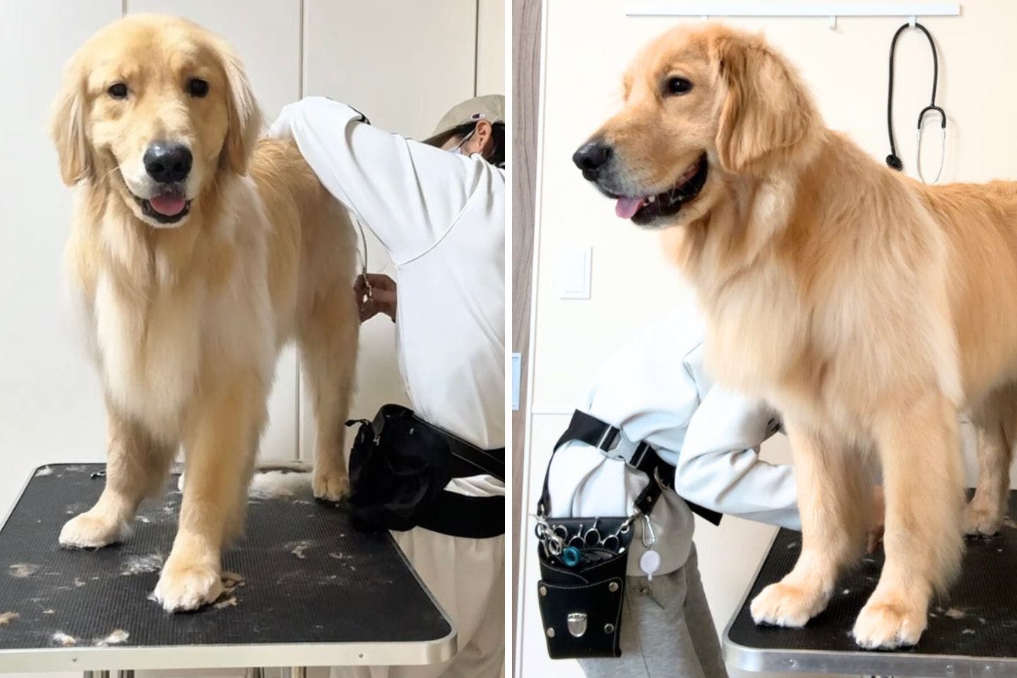愛犬コロッケ君のトリミング中の飼い主Hさん 愛犬コロッケ君のトリミング中の飼い主Hさん