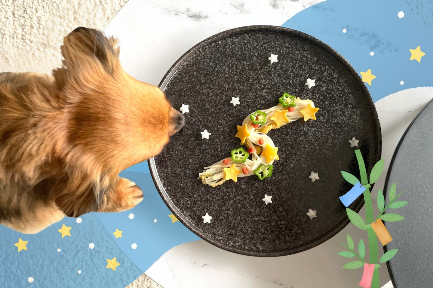 七夕にぴったり! 愛犬と楽しむ“天の川そうめん”【カインズ愛犬レシピ】