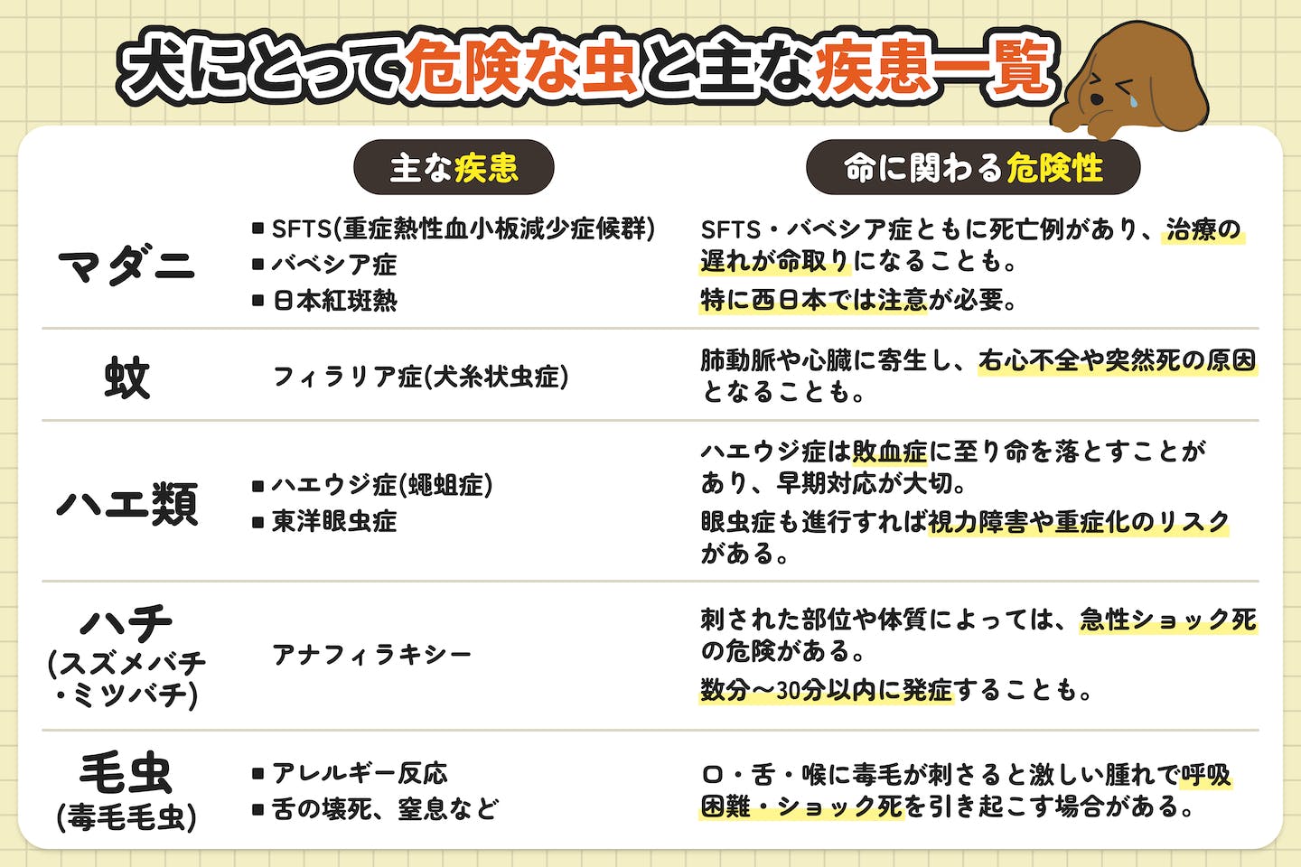 犬にとって危険な虫と主な疾患一覧 犬にとって危険な虫と主な疾患一覧