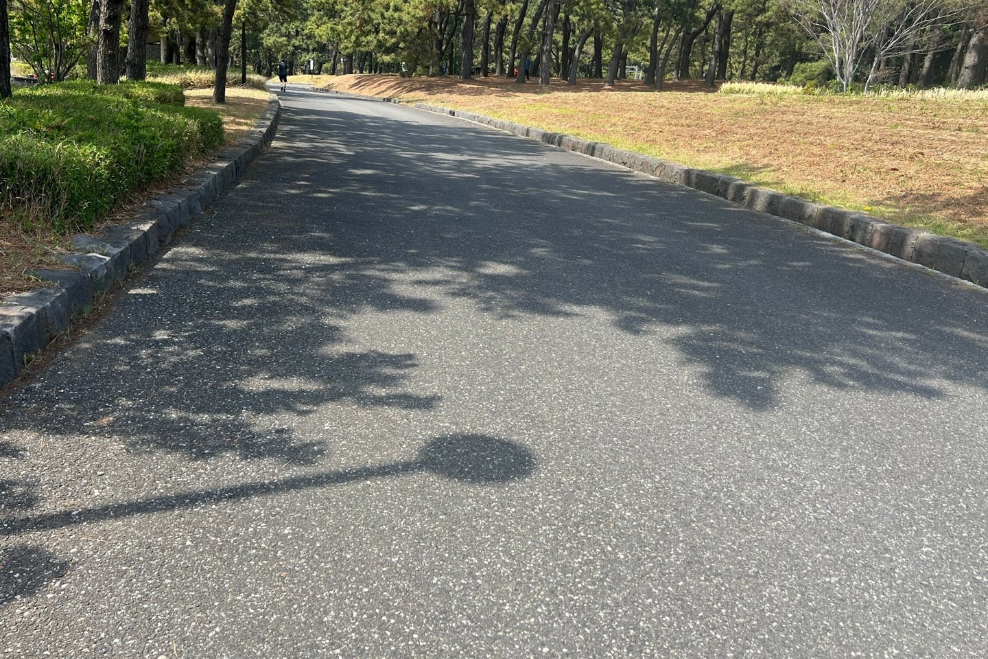 朝の地面の温度