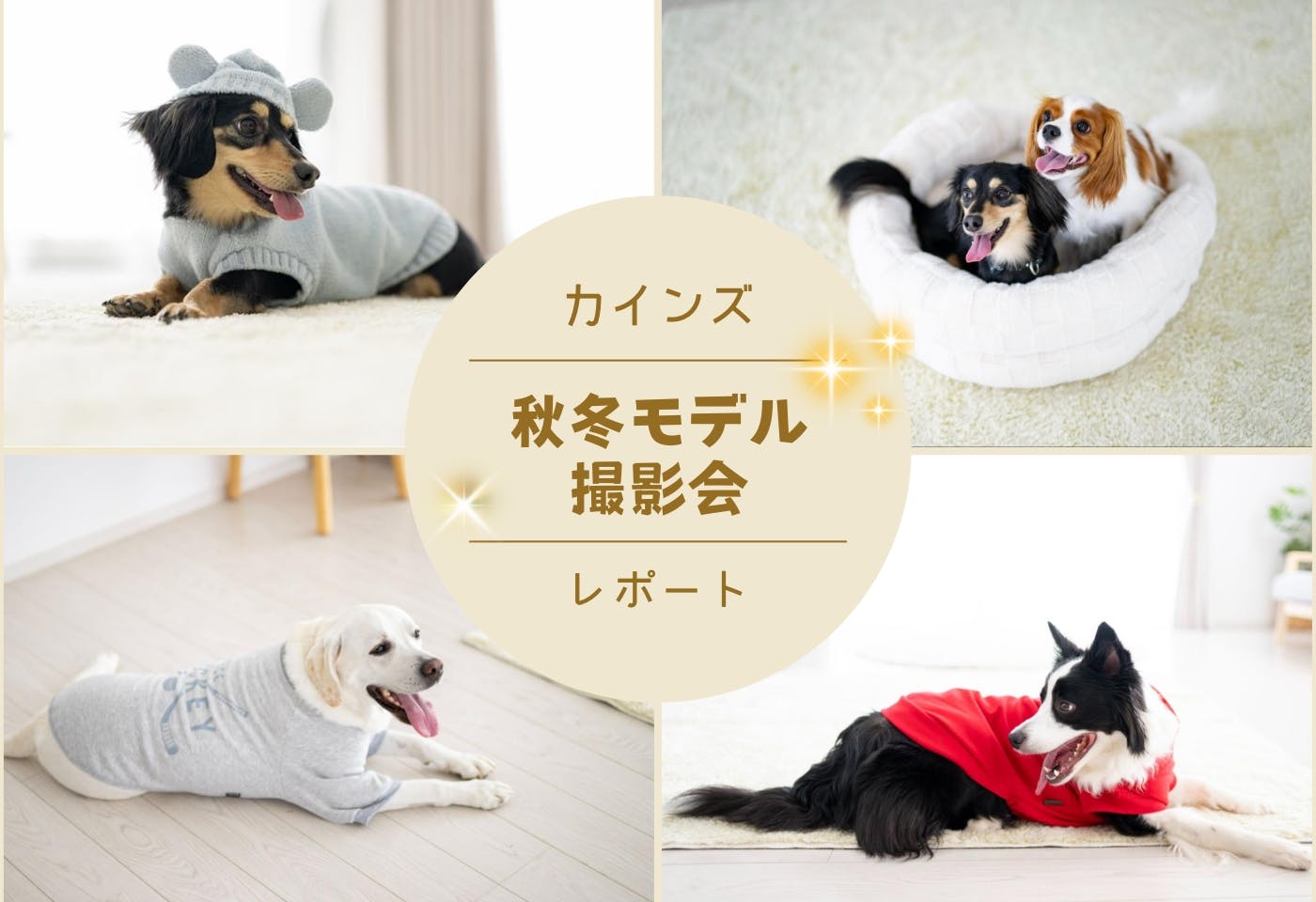 カインズ ペットウェア・ベッド モデル撮影会レポート! 当選3家族と叶えた、特別な一日