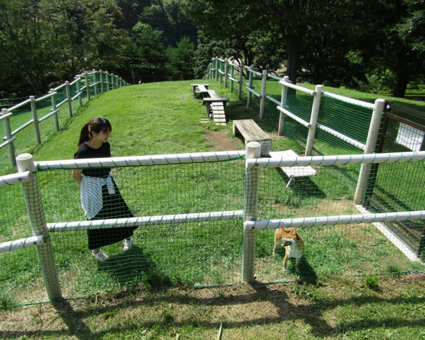 鳥居平やまびこ公園 ドッグラン（長野県岡谷市）