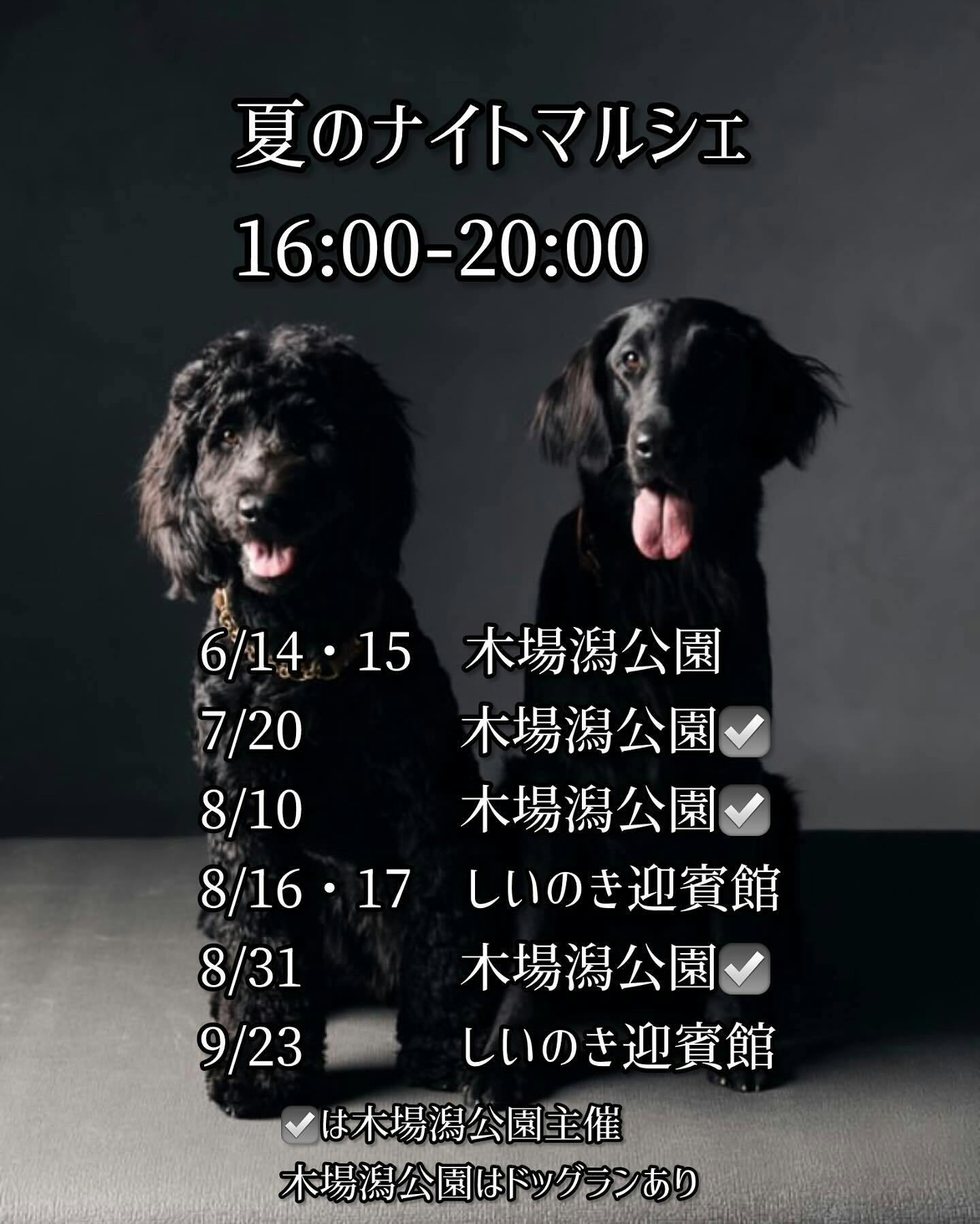 【2025/7/20】ナイトドッグラン＆マルシェ＠木場潟公園