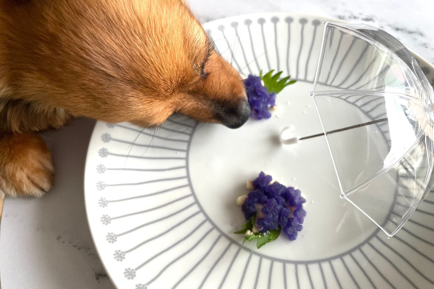 【水分補給・熱中症対策】 愛犬のストックおやつにもおすすめ 愛犬用あじさい風おやつ 完成