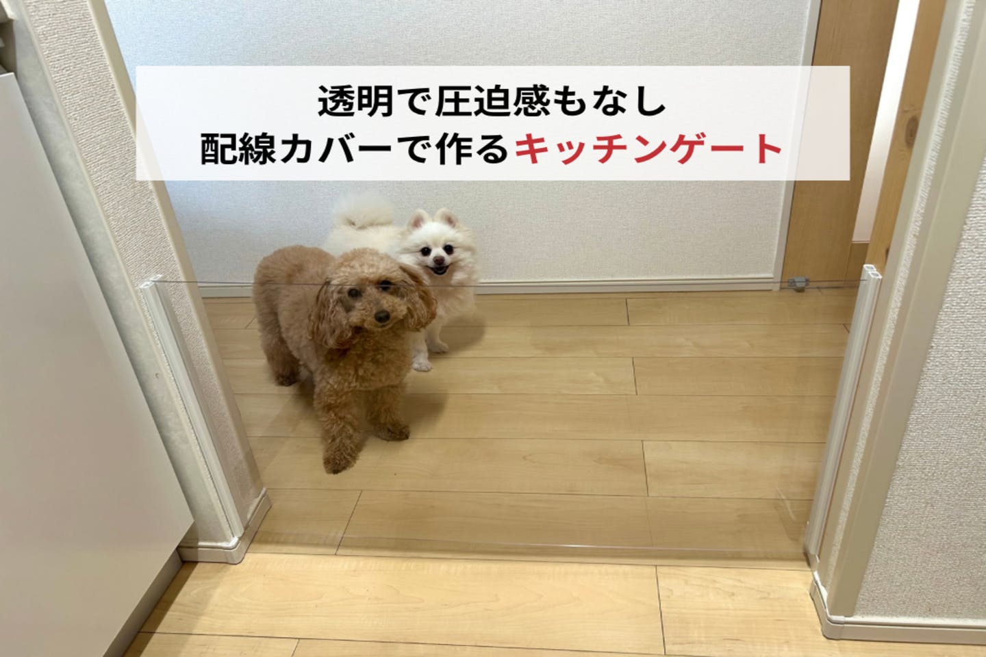 愛犬の侵入対策に! 賃貸でも使える、キッチン用透明ペットゲート【カインズ愛犬DIY】