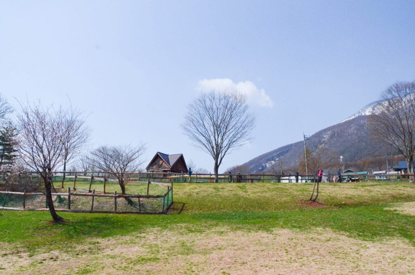 黒姫高原ドッグラン（長野県上水内郡）