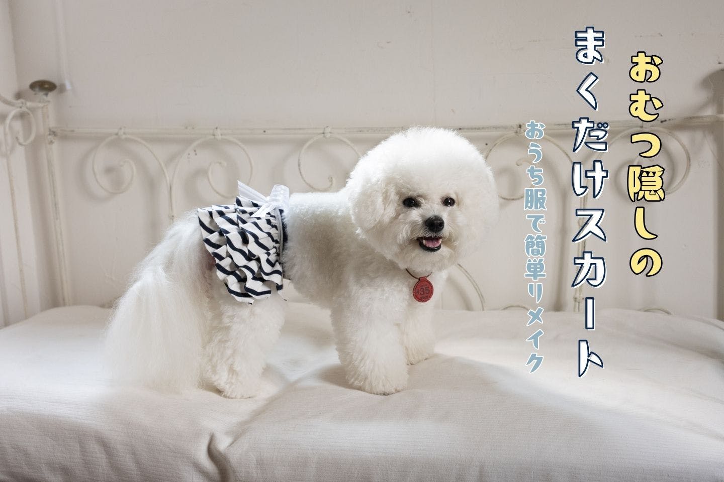 愛犬用おむつカバーを簡単に手作り。オムツ・マナーウェアをTシャツで可愛くアレンジ！【カインズ愛犬DIY】