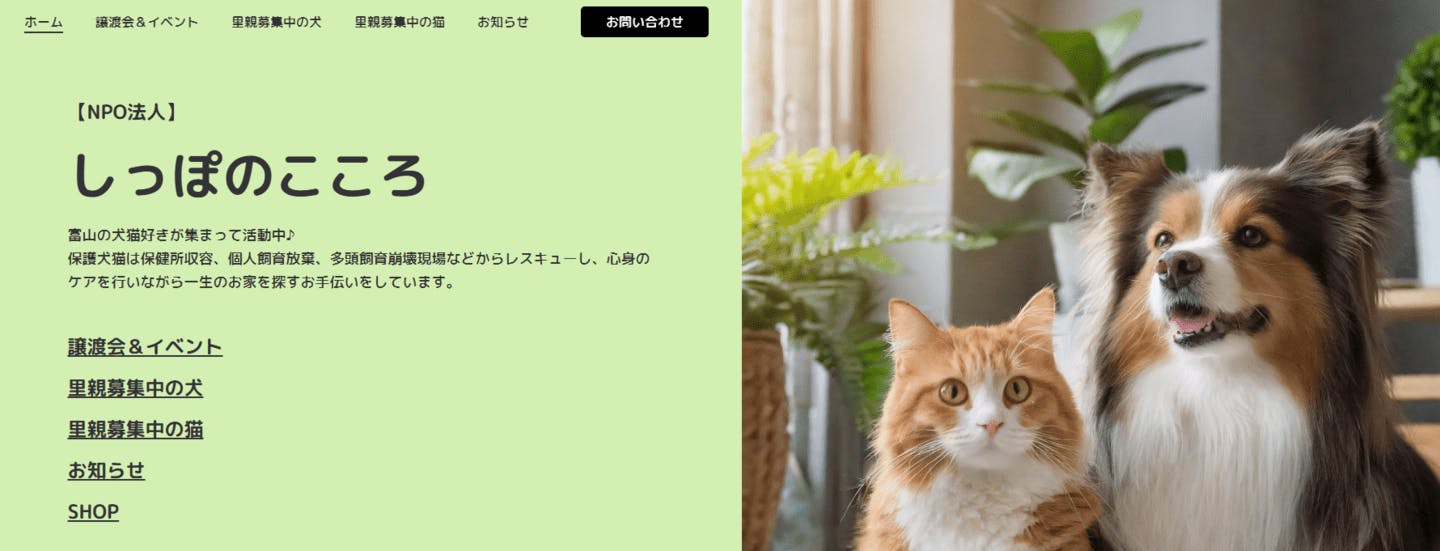 【2025/7/27】保護犬猫譲渡会（富山）