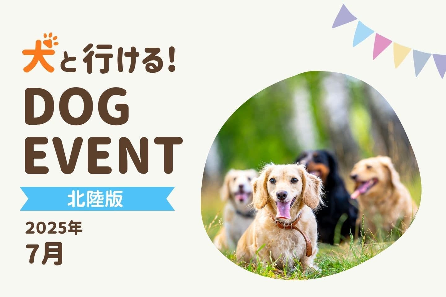 【北陸版2025年7月】愛犬と楽しめる夏のドッグイベント5選