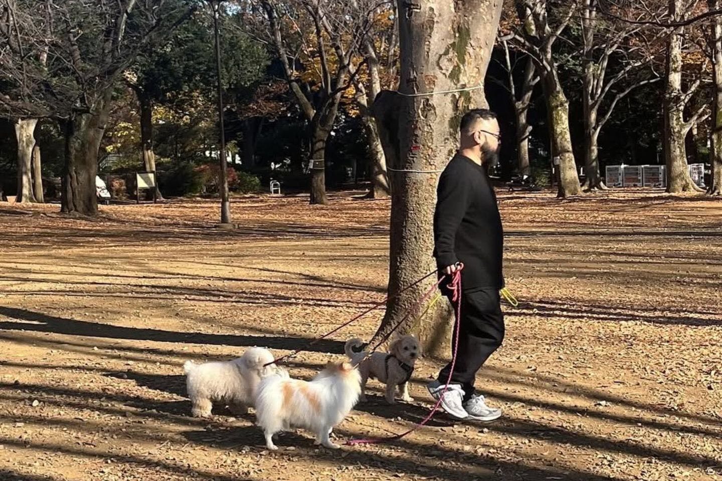 ワンちゃんたちをトレーニング中のマグさん ワンちゃんたちをトレーニング中のマグさん