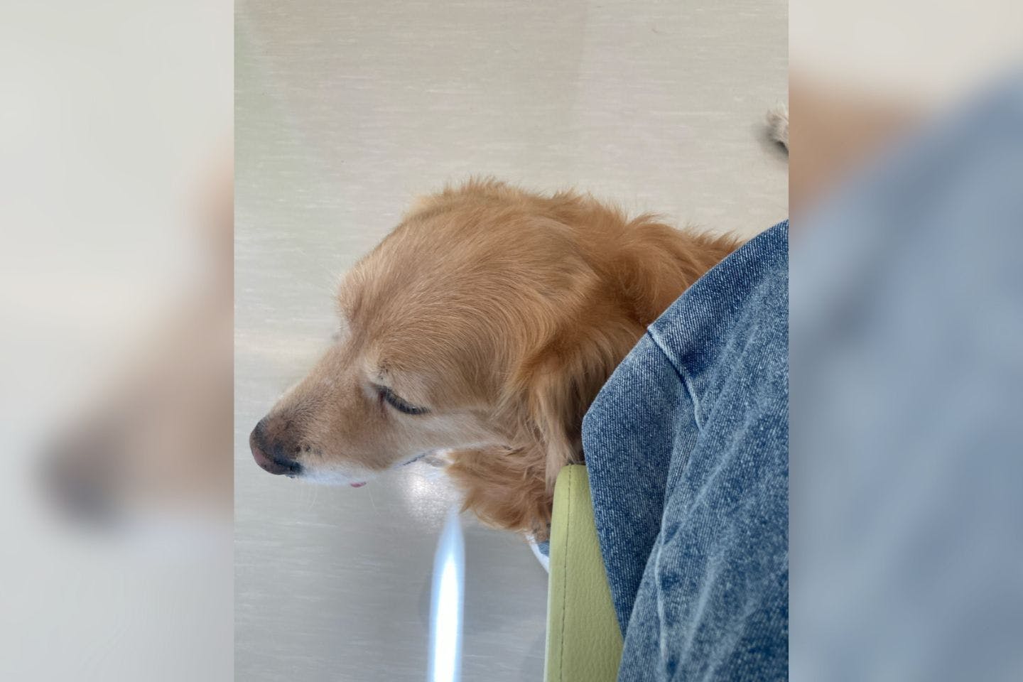 病院の待合室で順番を待つレイル 病院の待合室で順番を待つレイル