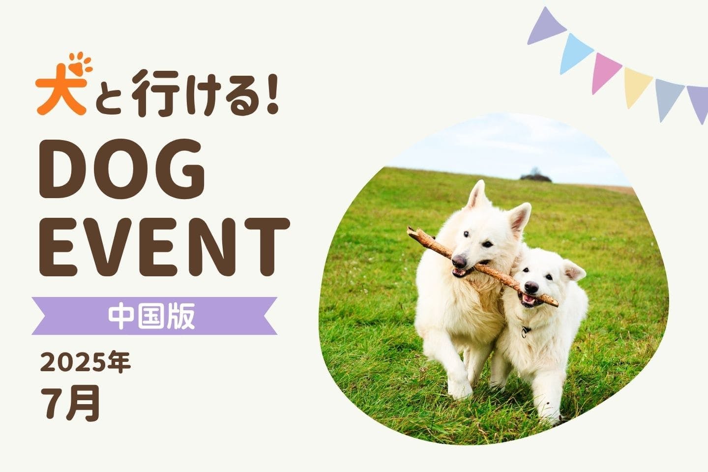 【中国地方版2025年7月】愛犬と楽しめる夏のドッグイベント6選