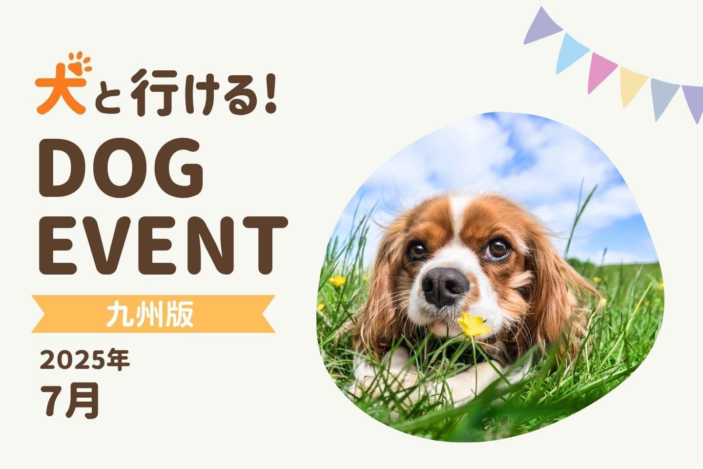 【九州版2025年7月】愛犬と行きたいおすすめドッグイベント4選