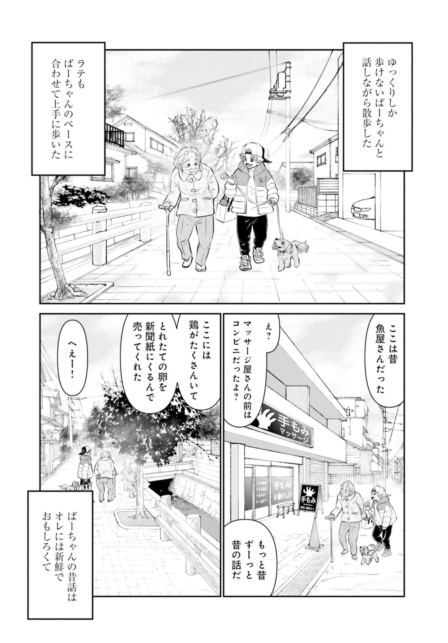 両親の経営する犬舎の実態『DOG SIGNAL(ドッグシグナル)』46話目3/4 おばあさんと愛犬・ラテの散歩『DOG SIGNAL(ドッグシグナル)』48話目3/4