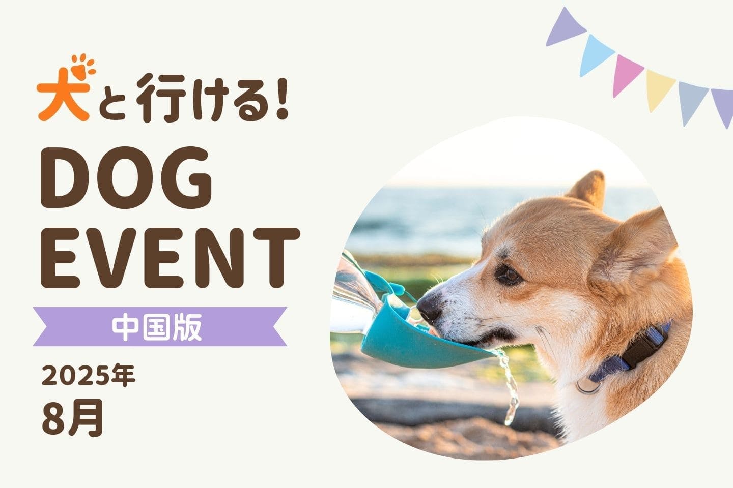 【中国地方版2025年8月】愛犬と楽しめる夏のドッグイベント