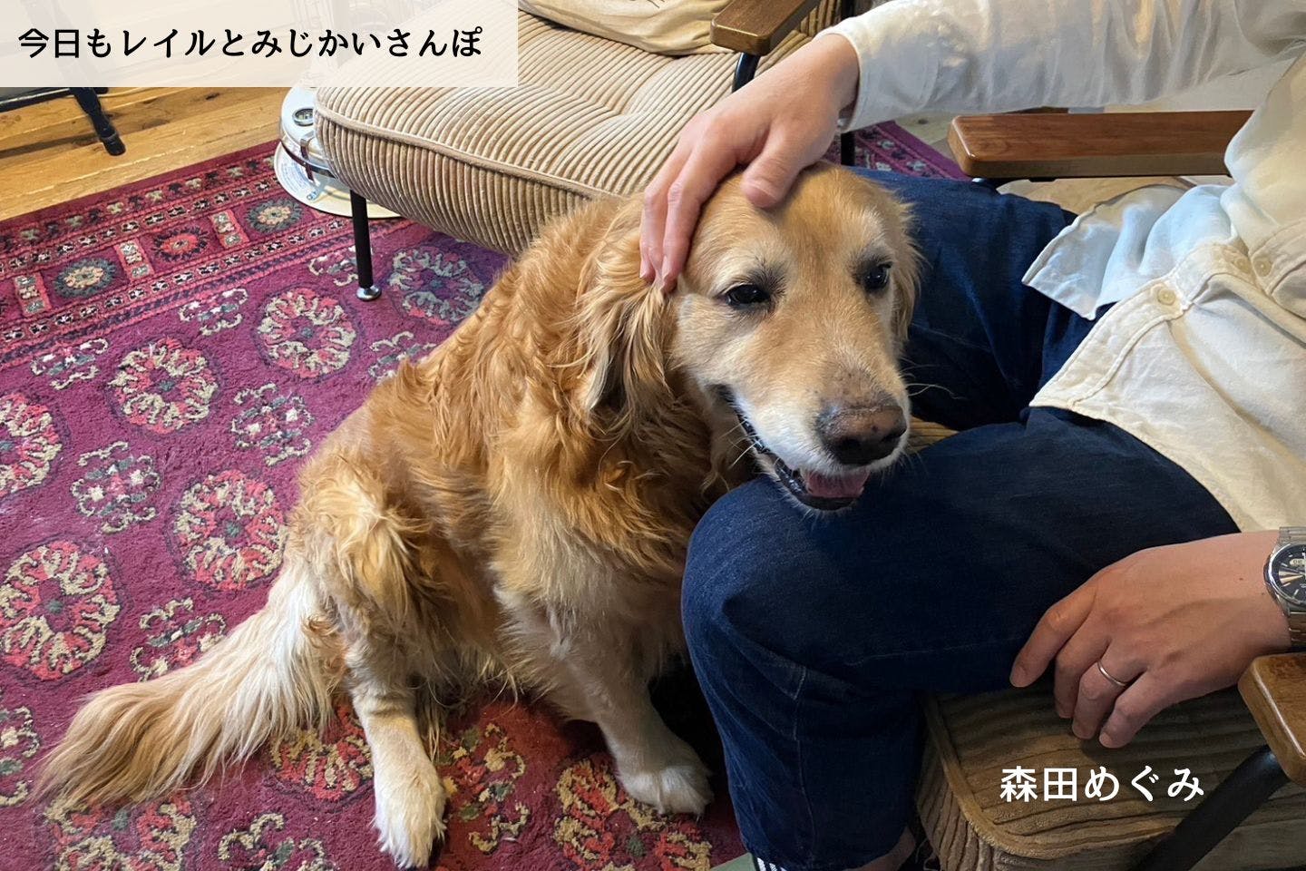 【連載】新宿から出られない夫｜森田めぐみ｜今日もレイルとみじかいさんぽ