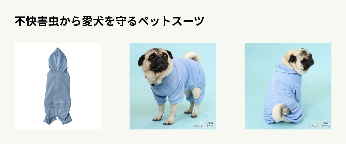 不快害虫から愛犬を守るペットスーツ