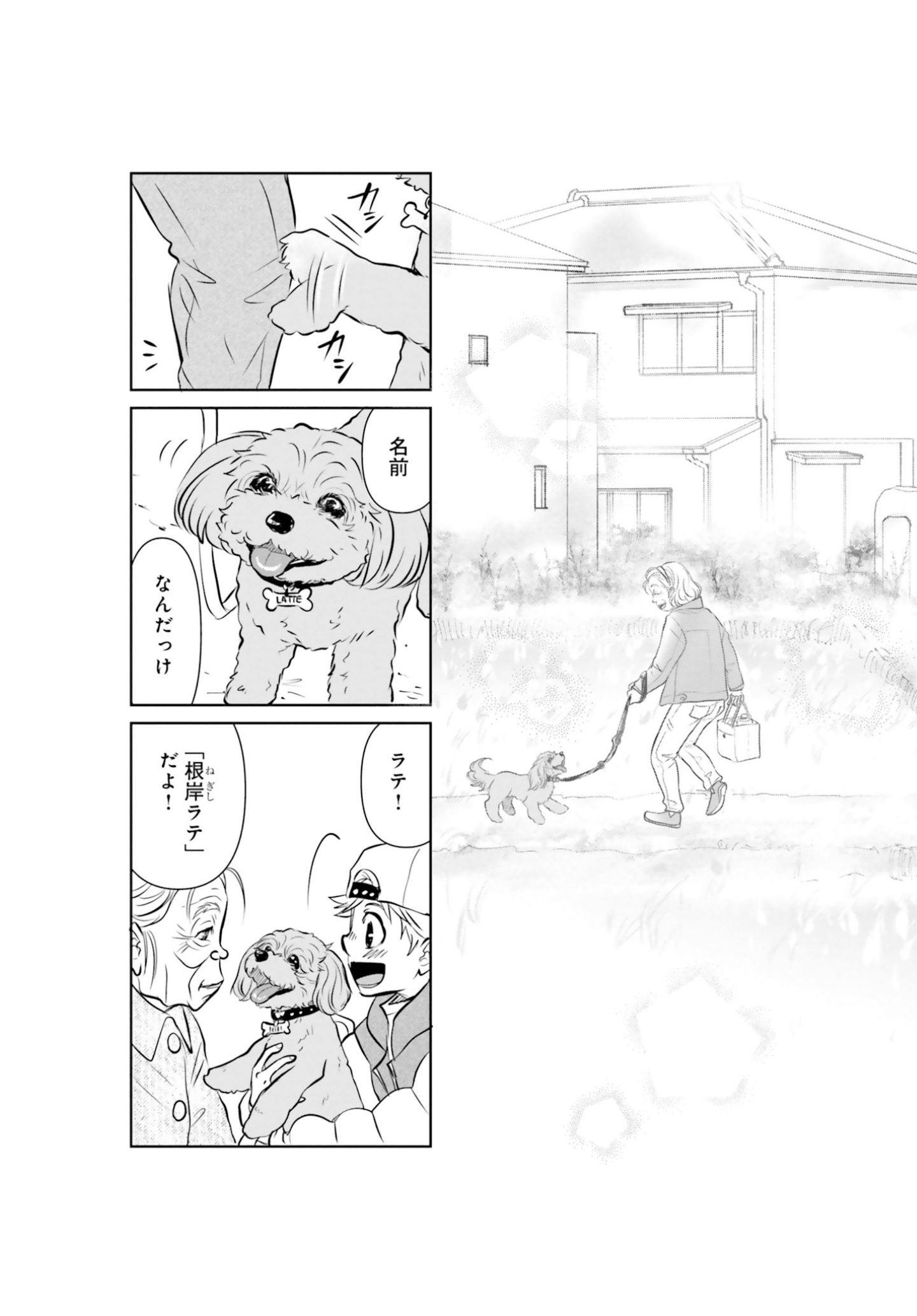 両親の経営する犬舎の実態『DOG SIGNAL(ドッグシグナル)』46話目3/4 おばあさんと愛犬・ラテの散歩『DOG SIGNAL(ドッグシグナル)』48話目3/4