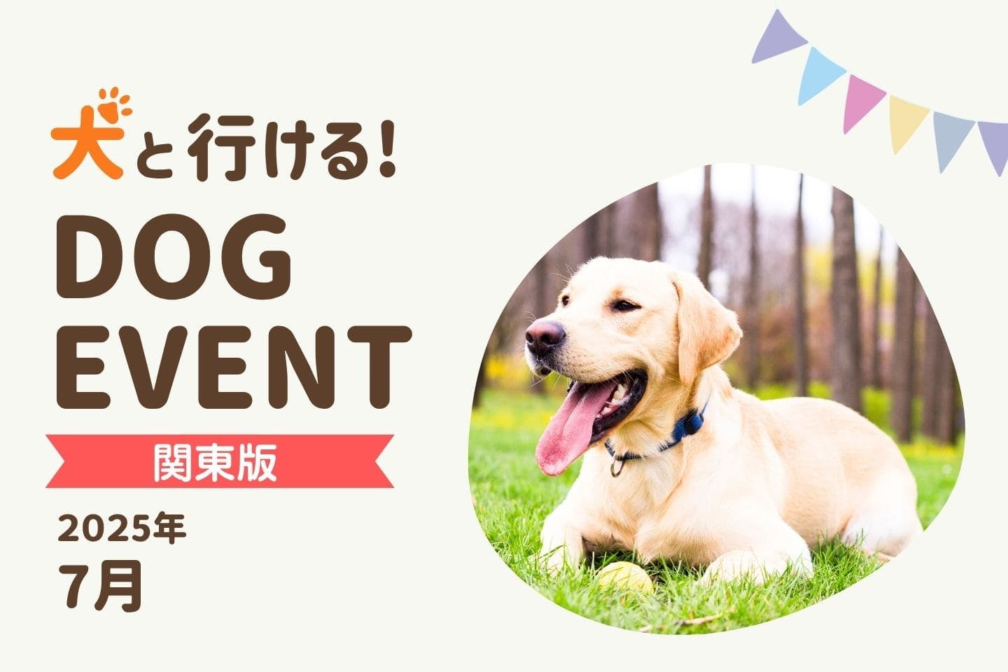【関東版2025年8月】愛犬と楽しめる夏のドッグイベント