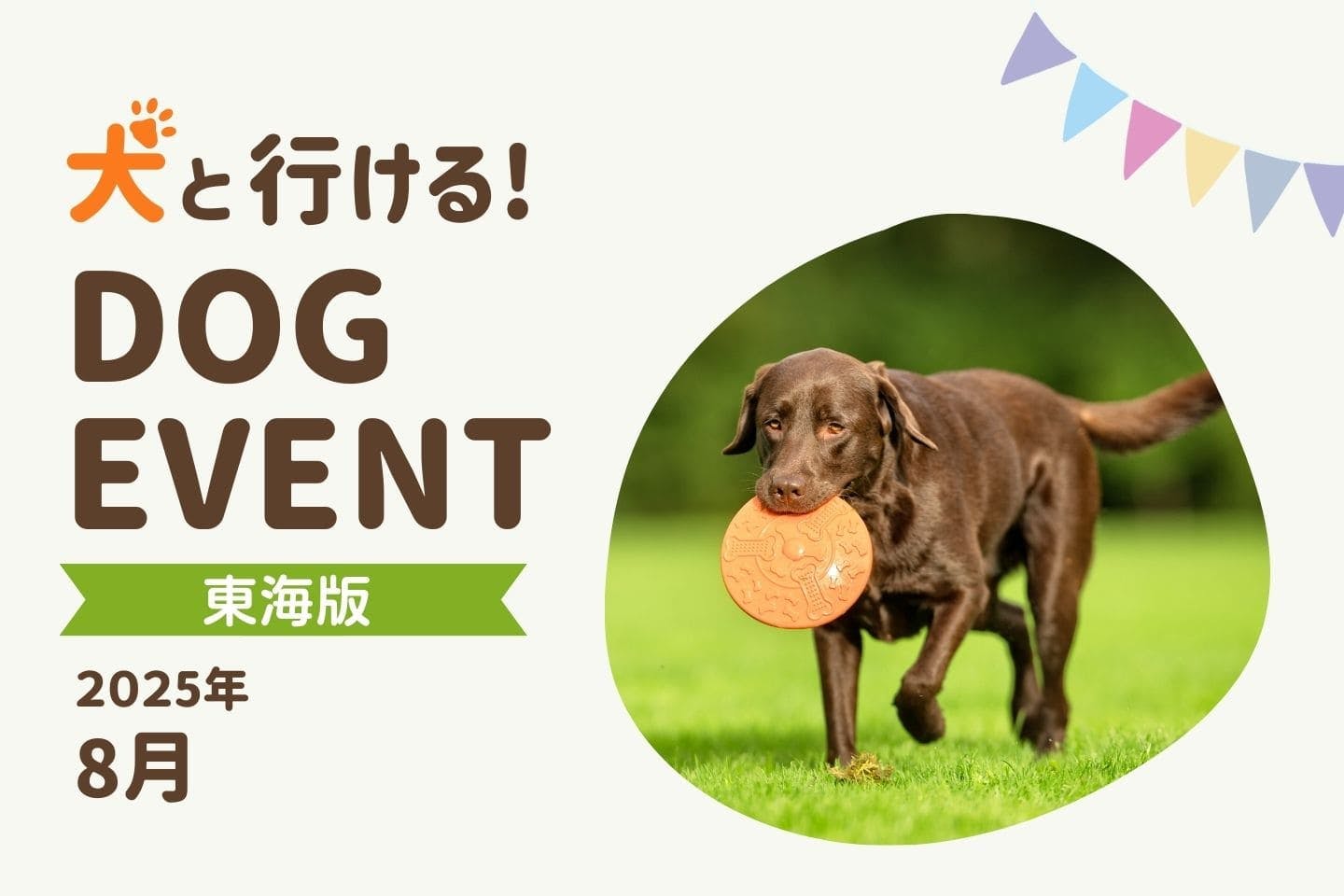 【東海版2025年8月】愛犬と楽しめる夏のドッグイベント