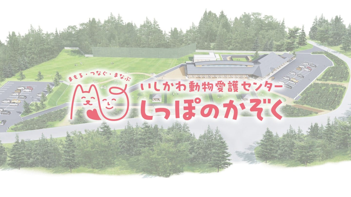 【2025/8/20・8/29】犬の飼い方相談会（石川県河北郡）
