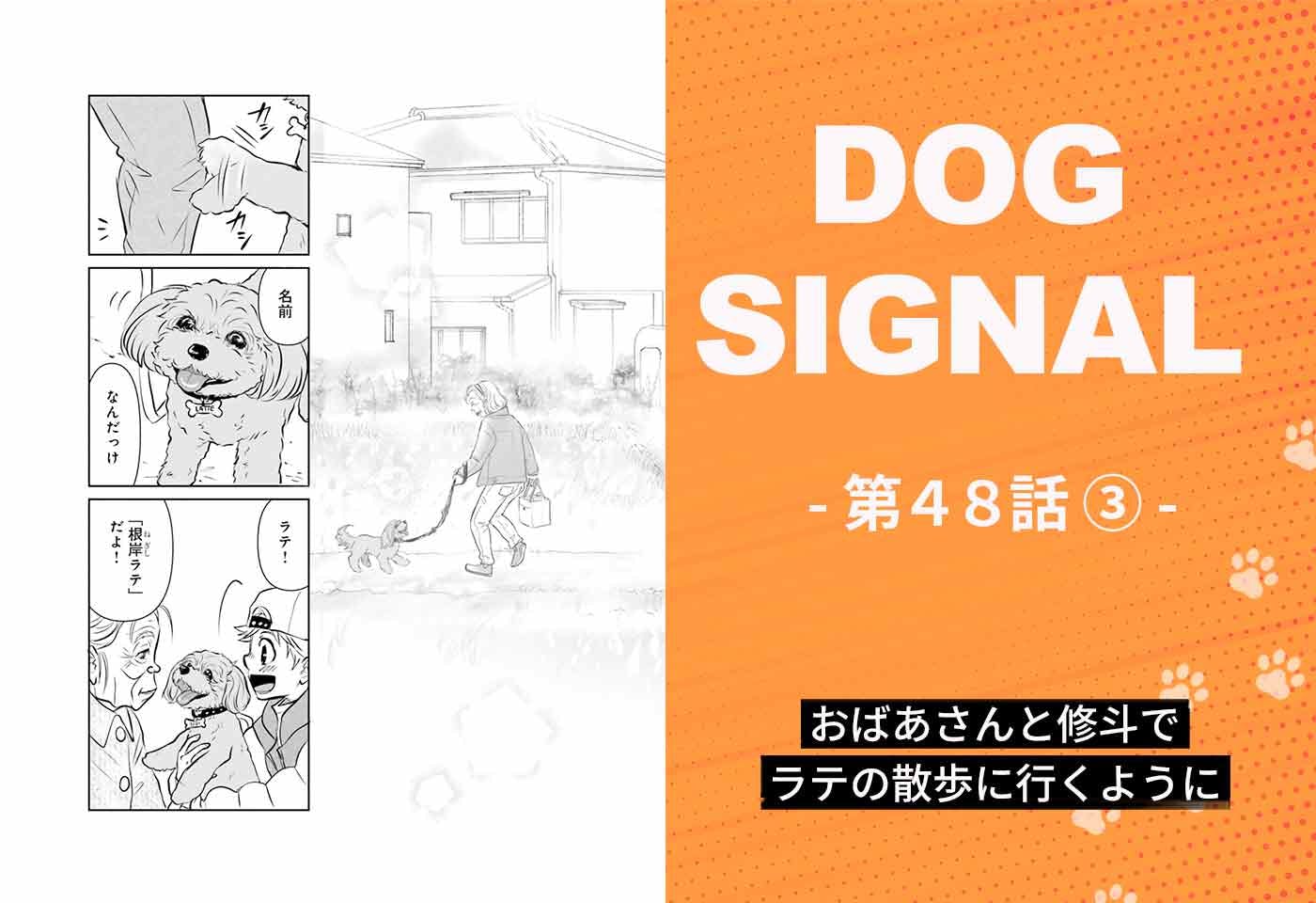 漫画『DOG SIGNAL(ドッグシグナル)』48話目3/4 おばあさんと愛犬・ラテの散歩