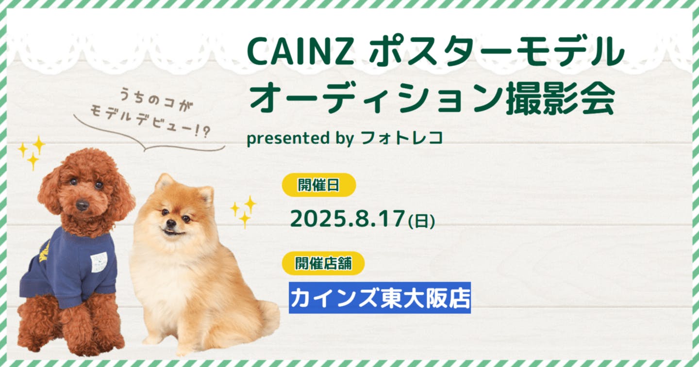【2025/8/17】CAINZ ポスターモデルオーディション撮影会