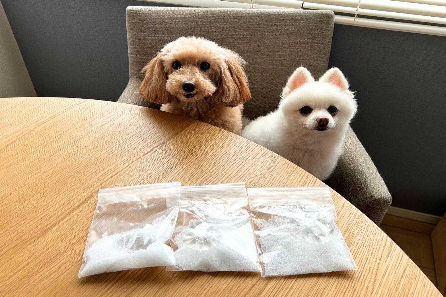 愛犬のお散歩に使える、「瞬間冷却パック」