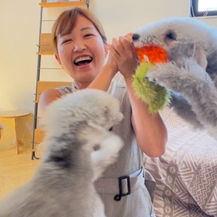 服部ありさ（トリマー）