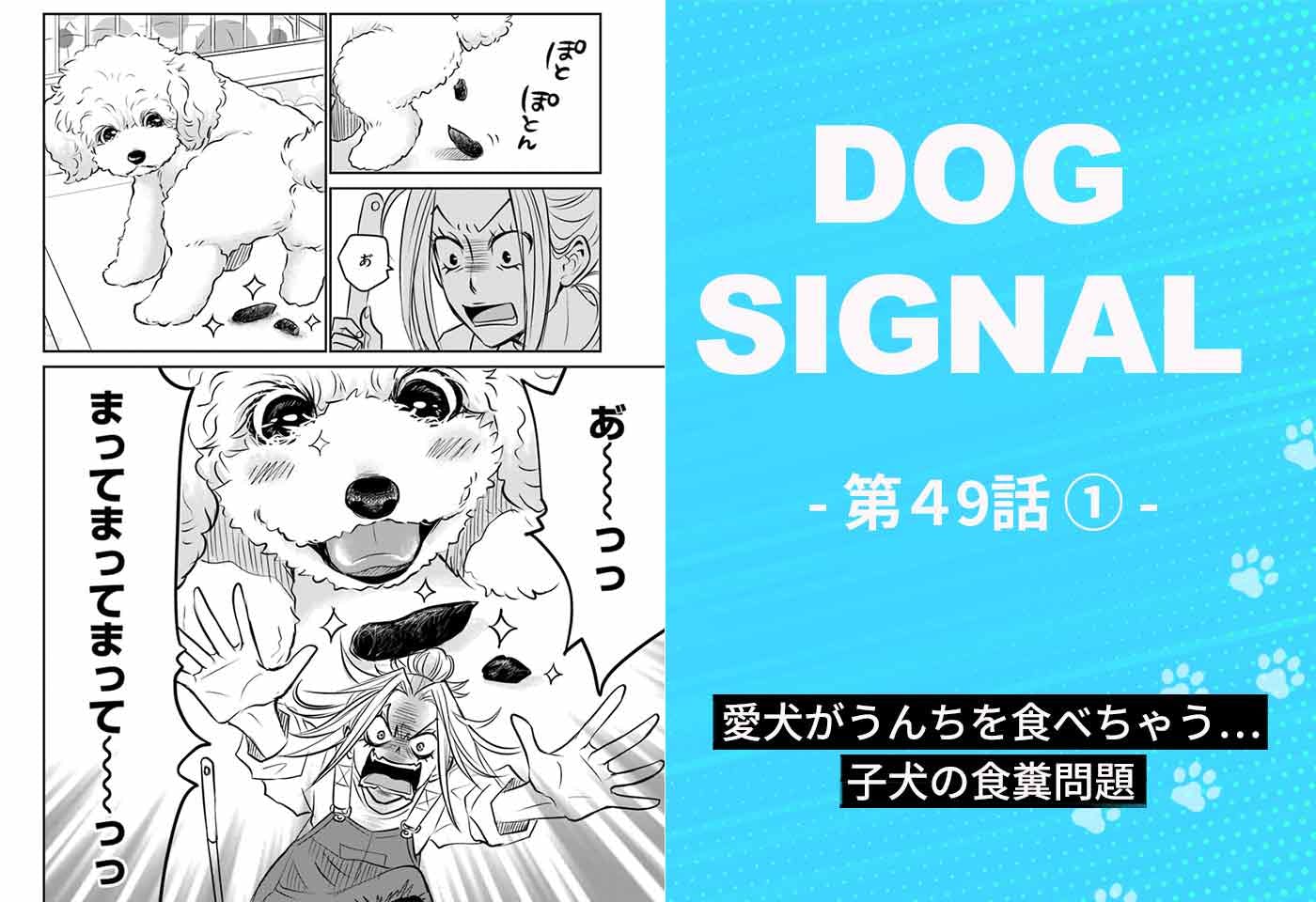 漫画『DOG SIGNAL（ドッグシグナル）』49話目1/4　子犬の食糞問題…