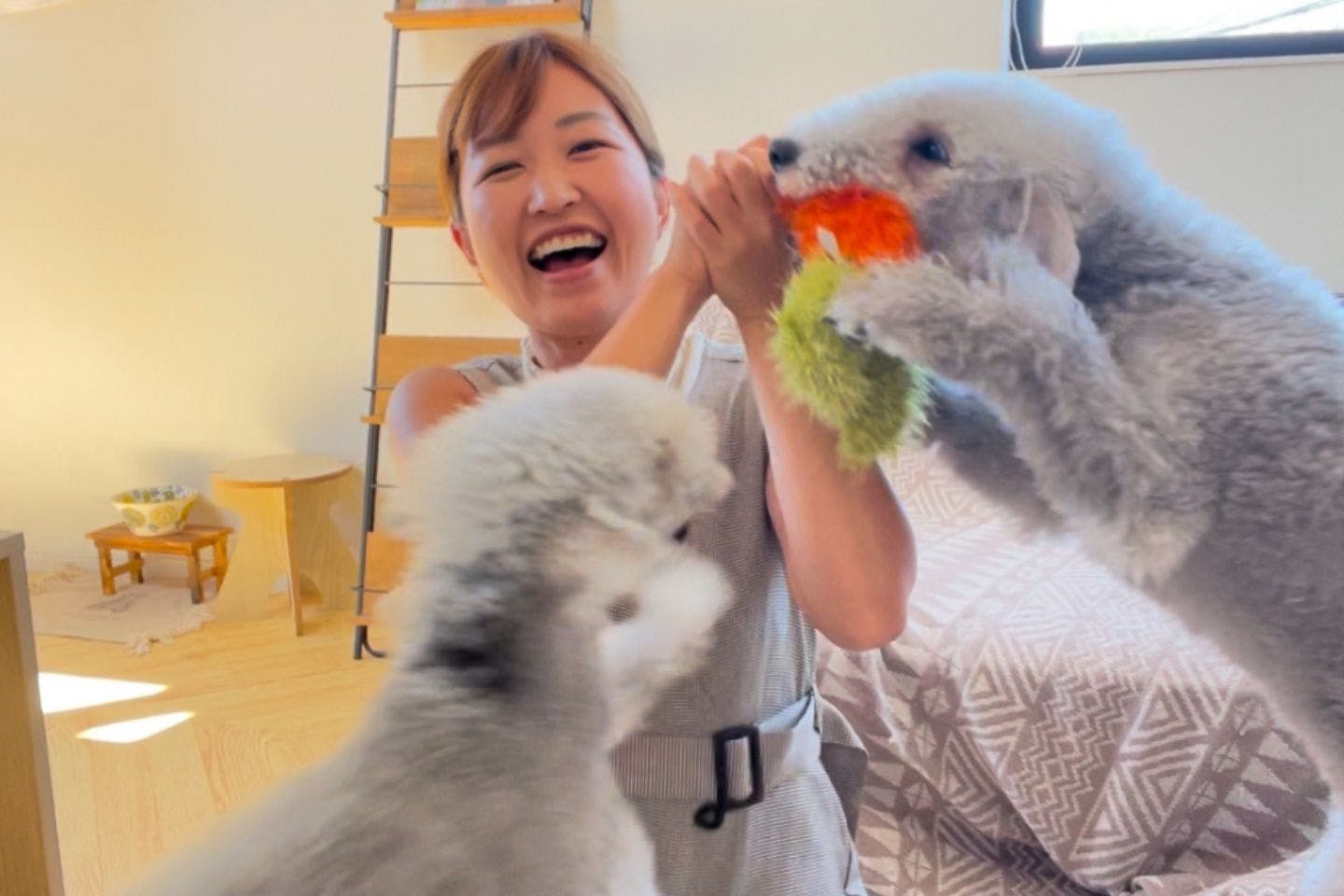 トリミングサロン『もうちょっと』を運営する服部ありささん トリミングサロン『もうちょっと』を運営する服部ありささん