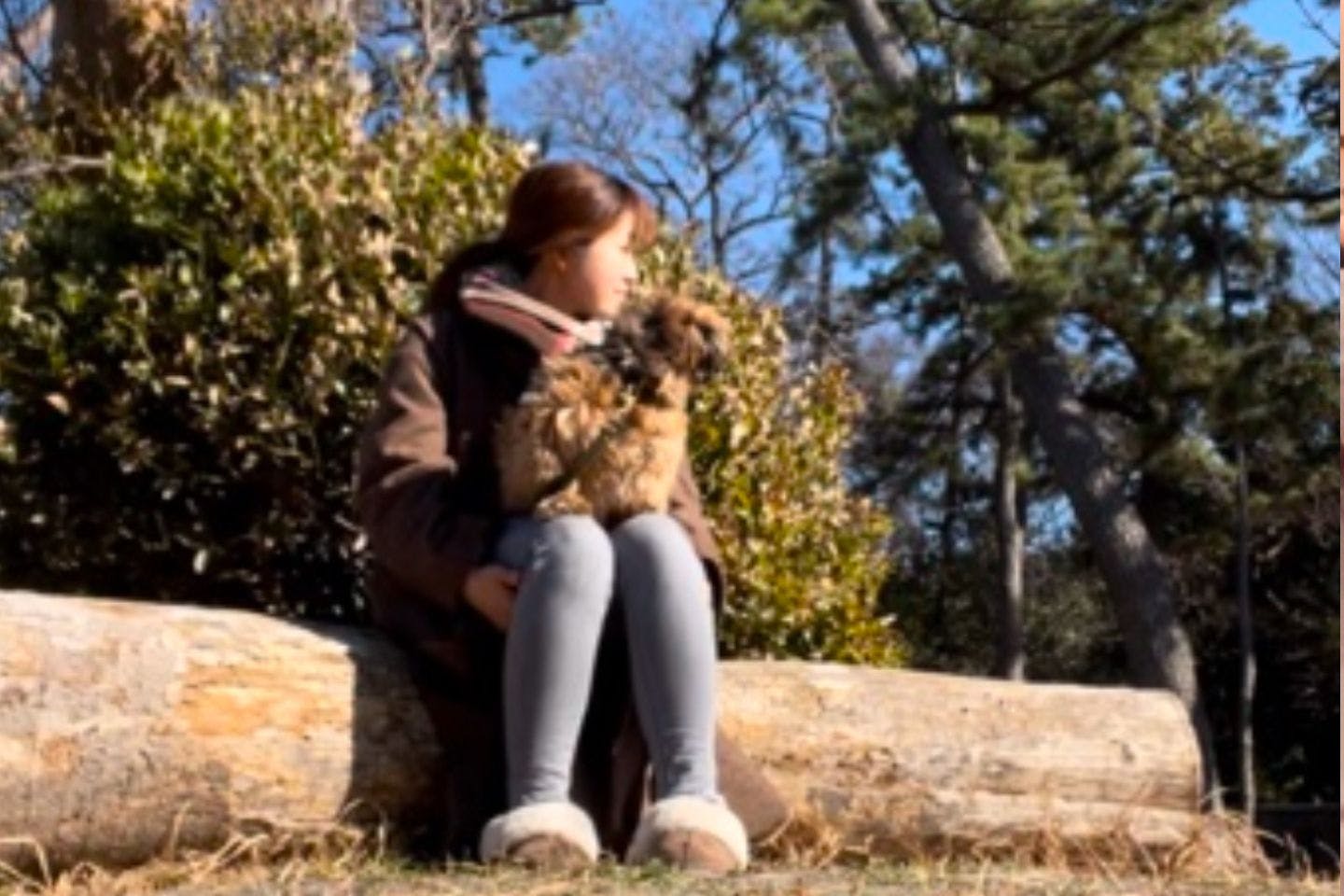 鳥が大好きな子と、ただ鳥を観察して過ごした「お話の時間」 鳥が大好きな子と、ただ鳥を観察して過ごした「お話の時間」