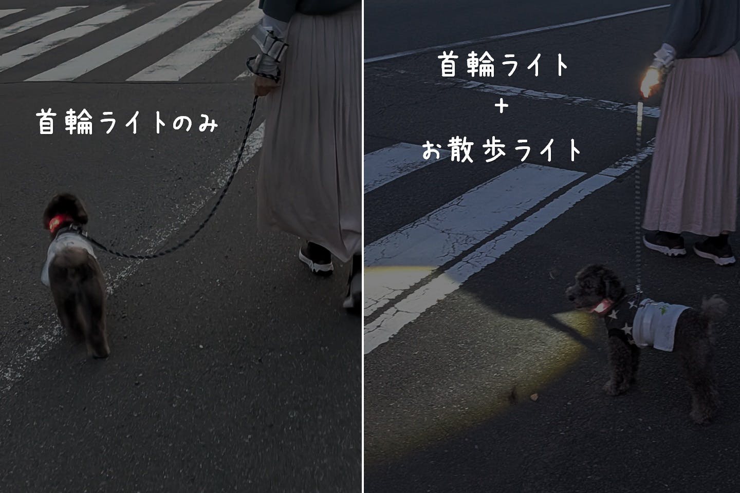 自作したライトホルダーをつけて散歩