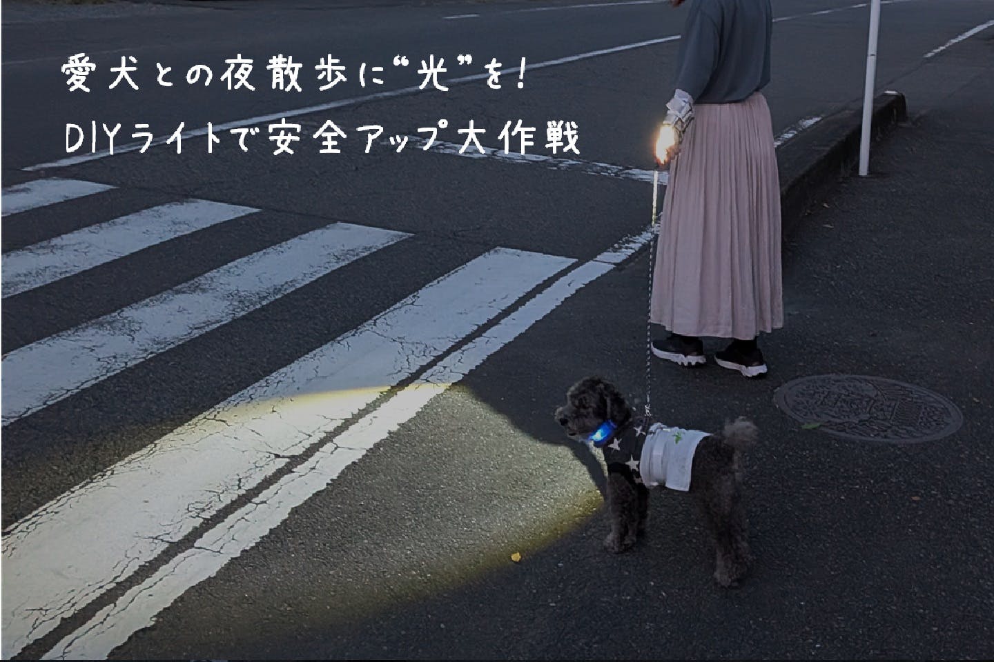 愛犬との夜散歩に“光”を。自作のライトホルダーで安全アップ大作戦！【カインズ愛犬DIY】