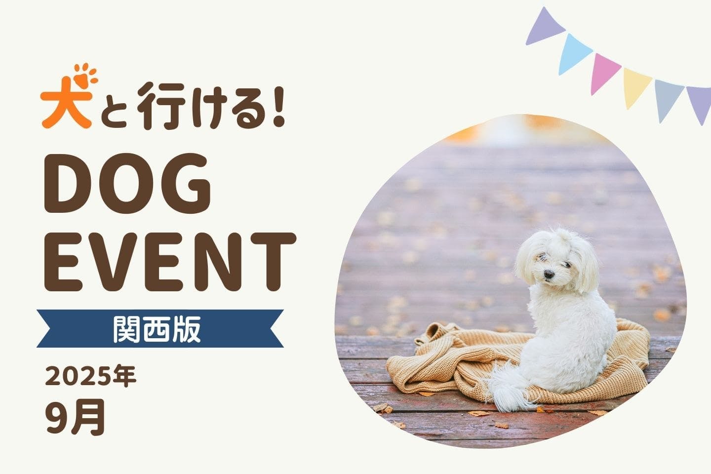 【関西版2025年9月】愛犬と楽しめるドッグイベント4選