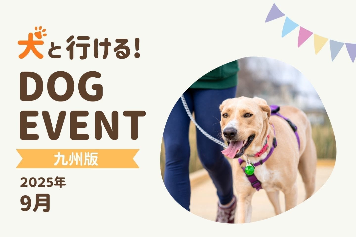 【九州版2025年9月】愛犬と行きたいドッグイベント4選