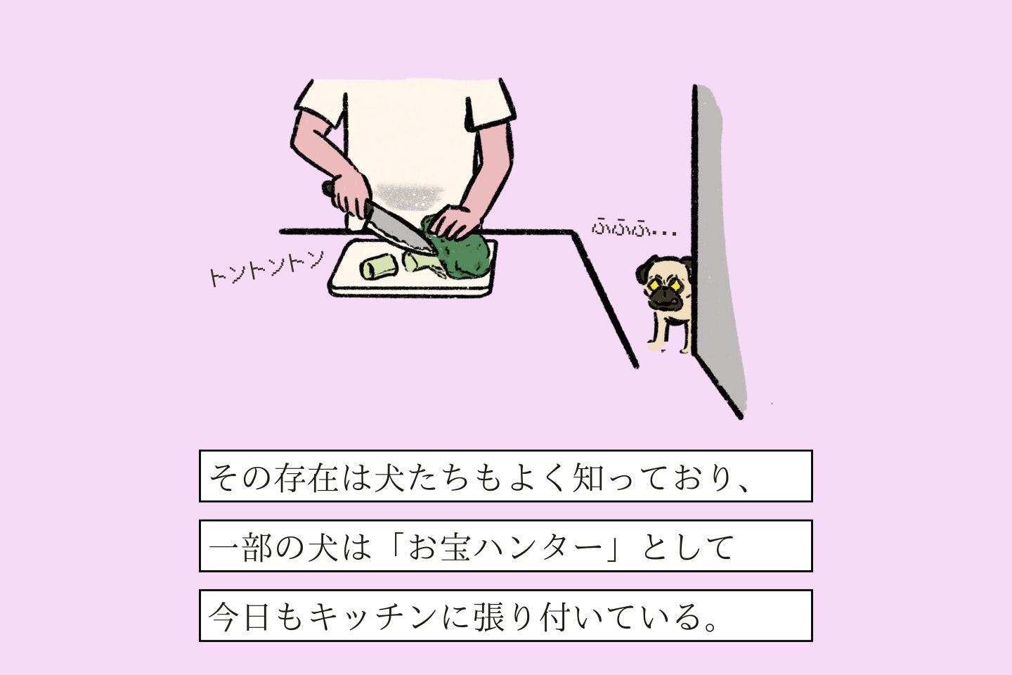 オデコクッツケヌシの生態《変な飼いヌシ図鑑053》 トリオキヌシの生態《変な飼いヌシ図鑑065》