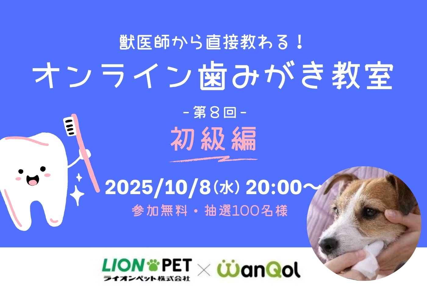 獣医師が教える!オンライン歯みがき教室 《第8回・初級編》
