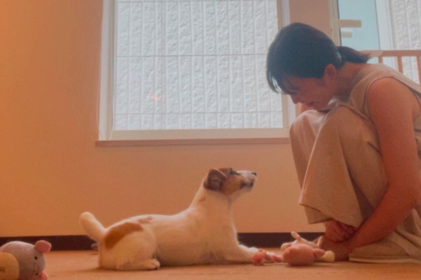 飼い主さん&ワンちゃんと、とにかくコミュニケーションをとるありささん 飼い主さん&ワンちゃんと、とにかくコミュニケーションをとるありささん