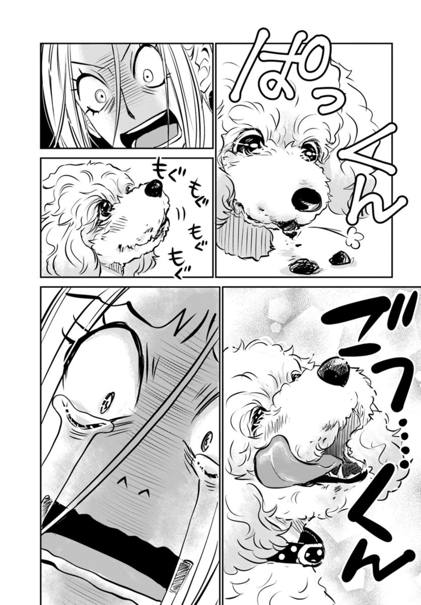 両親の経営する犬舎の実態『DOG SIGNAL(ドッグシグナル)』46話目3/4 愛犬の食糞問題…『DOG SIGNAL(ドッグシグナル)』49話目1/4
