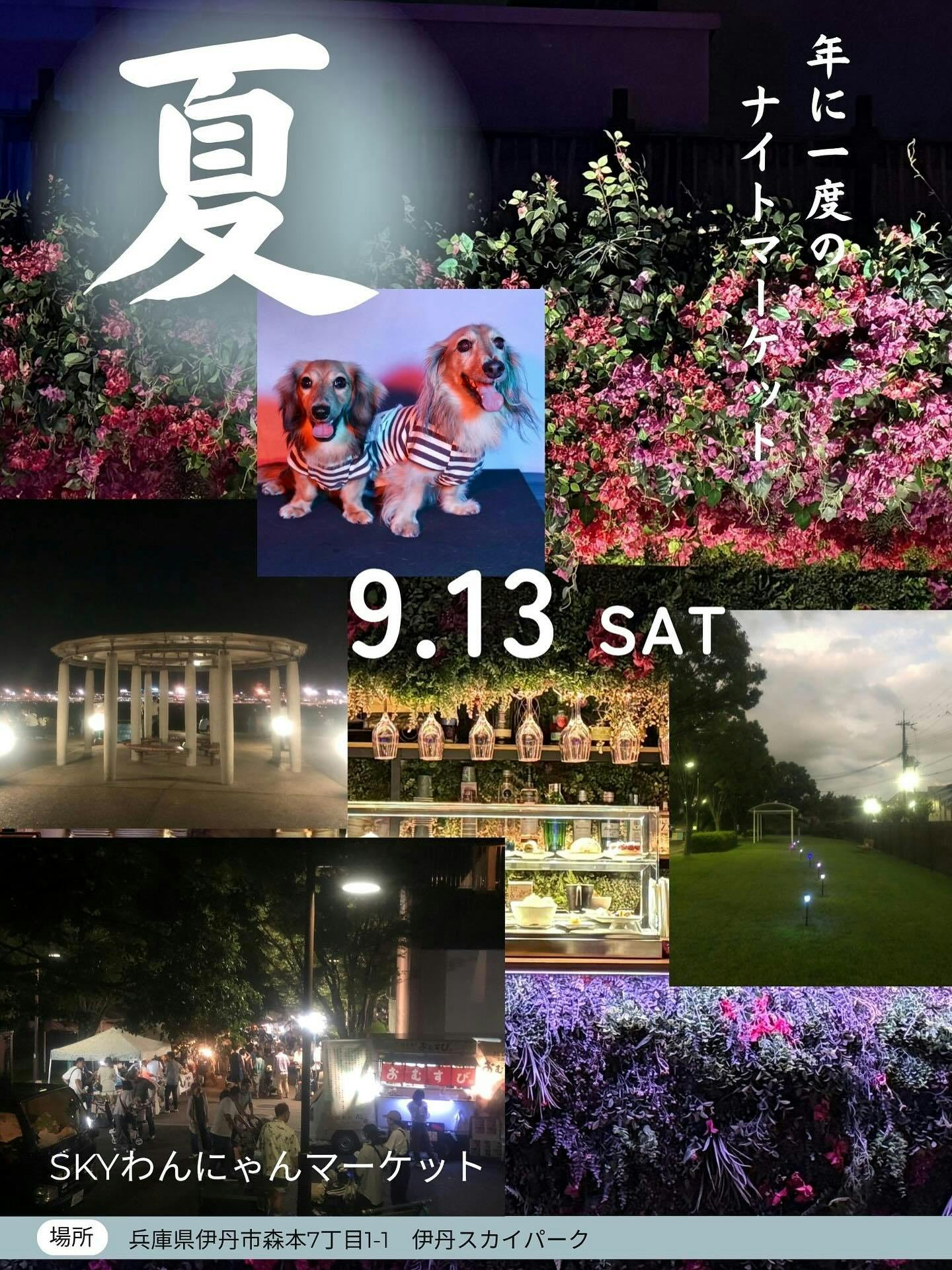 【2025/9/13】第14回 SKYわんにゃんマーケットNight（兵庫・伊丹市）