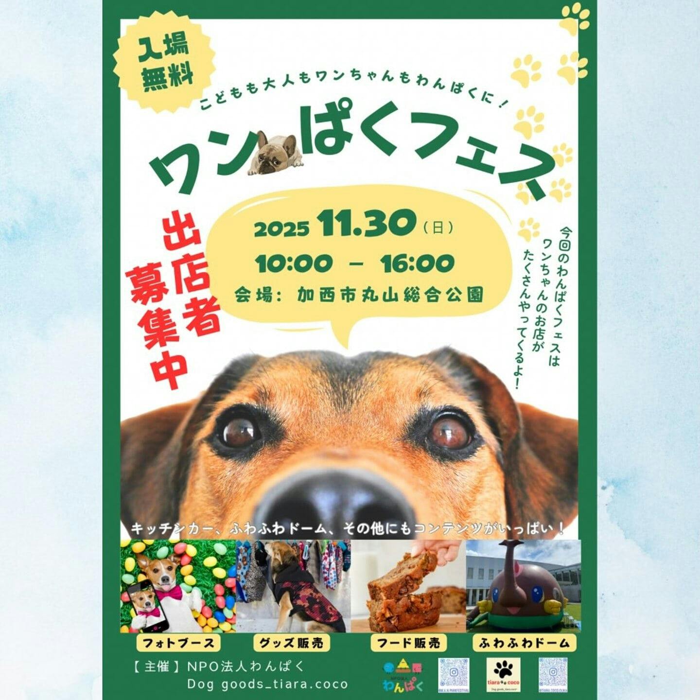 【11/30に兵庫県で開催】ワンぱくフェス in 加西-min 【11/30に兵庫県で開催】ワンぱくフェス in 加西