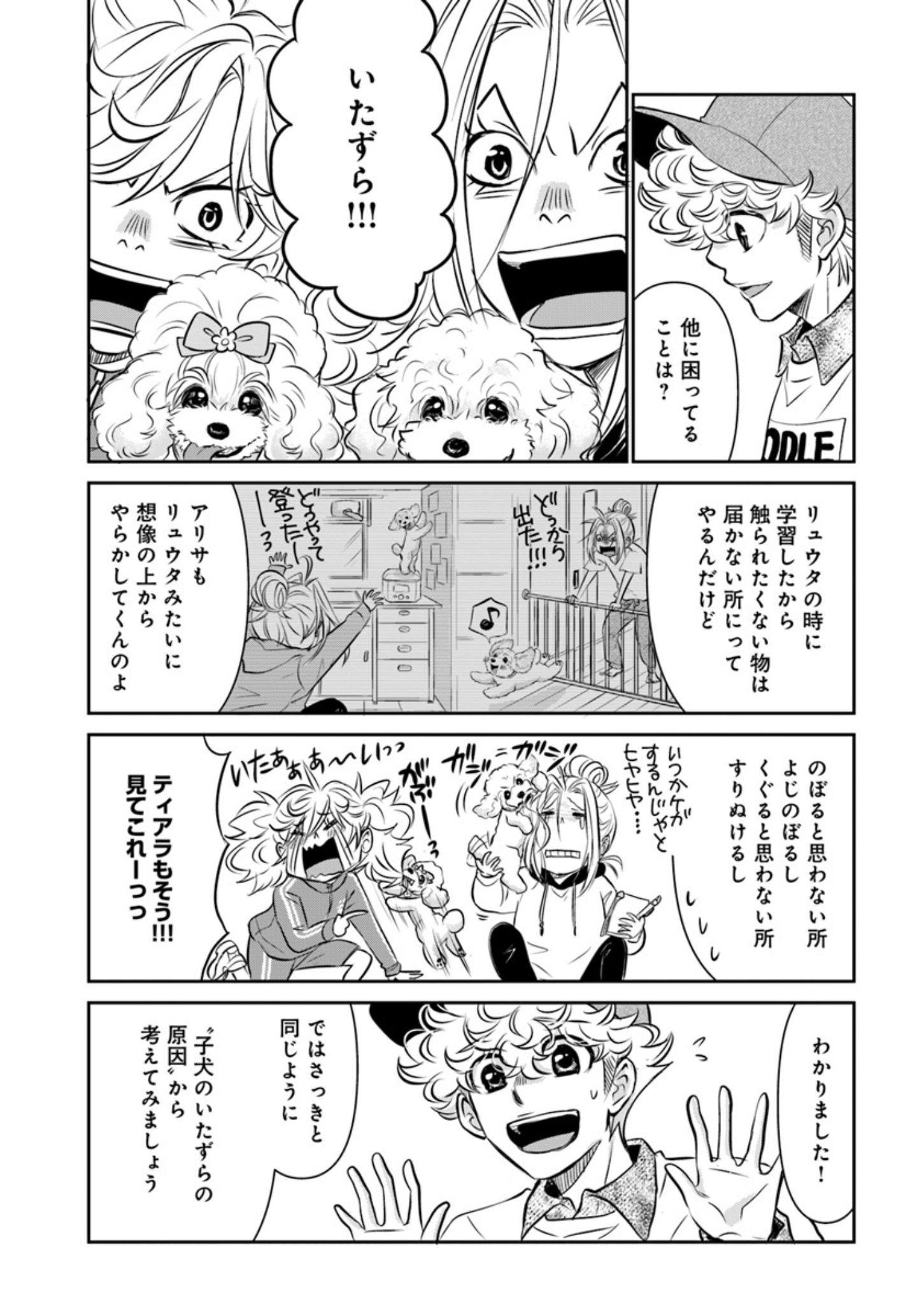 子犬でよくある問題行動のお悩み『DOG SIGNAL（ドッグシグナル）』49話目2/4