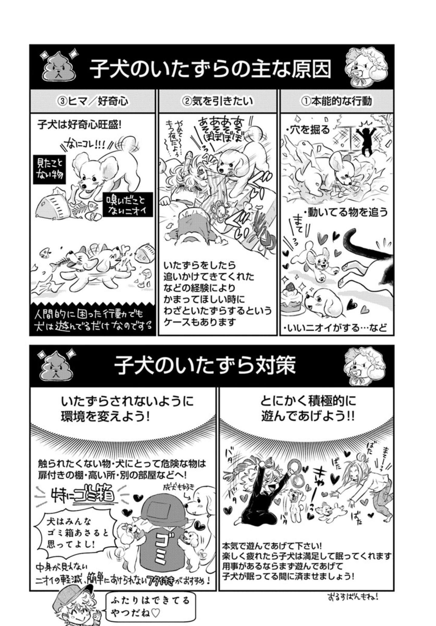 子犬でよくある問題行動のお悩み『DOG SIGNAL（ドッグシグナル）』49話目2/4