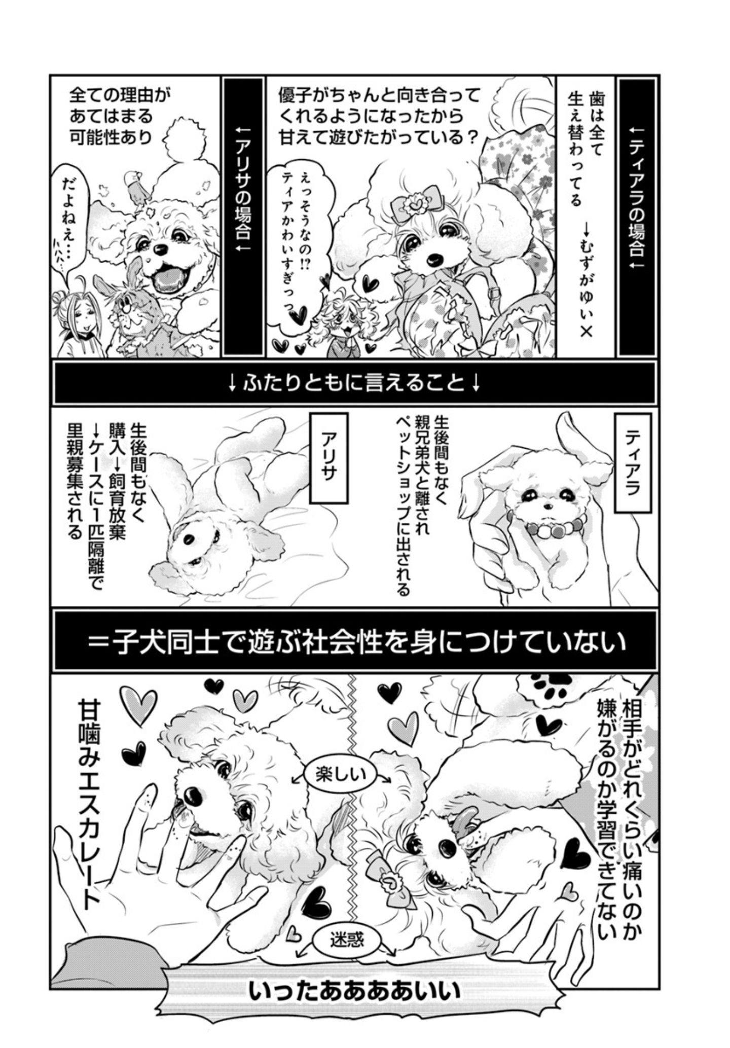愛犬の食糞問題…『DOG SIGNAL(ドッグシグナル)』49話目1/4 子犬でよくある問題行動のお悩み『DOG SIGNAL(ドッグシグナル)』49話目2/4
